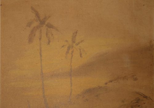 TRÓPICO ABSOLUTO: Un árbol en el desierto