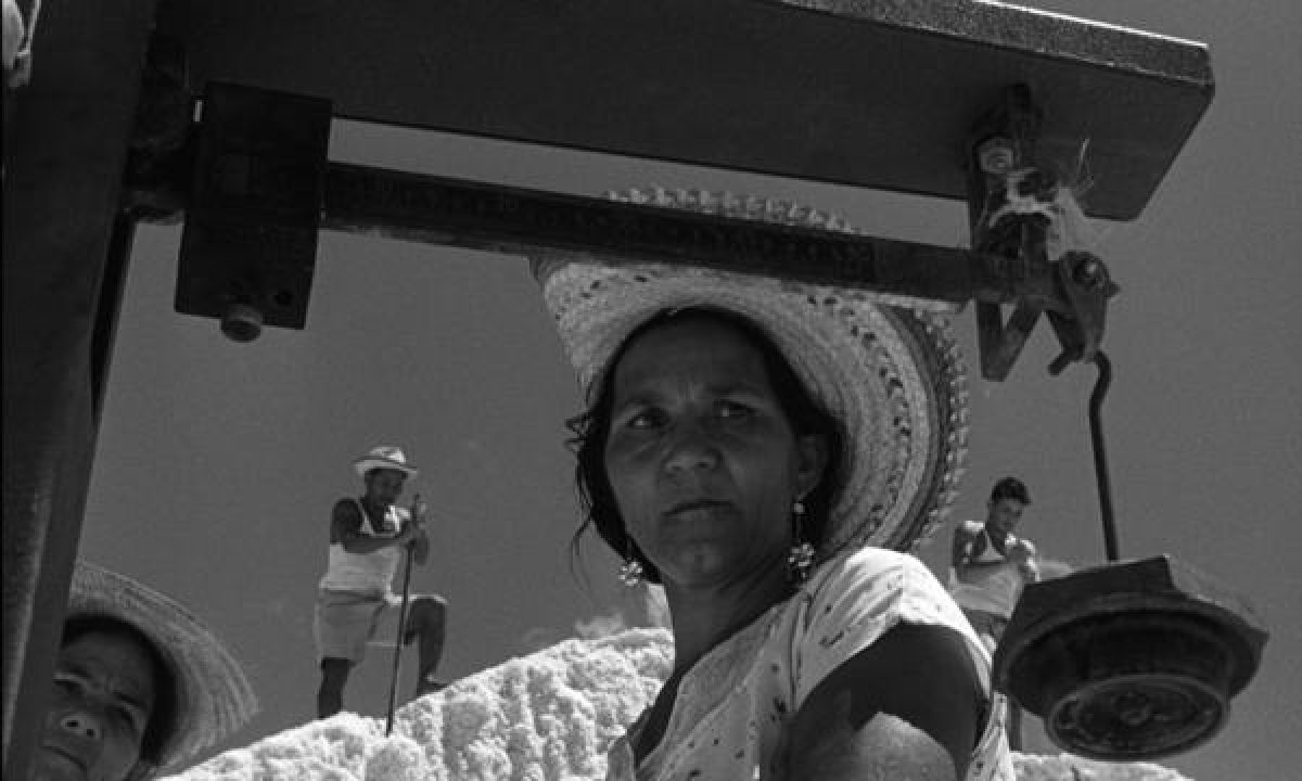 Volver a Araya hoy: un documental humanista