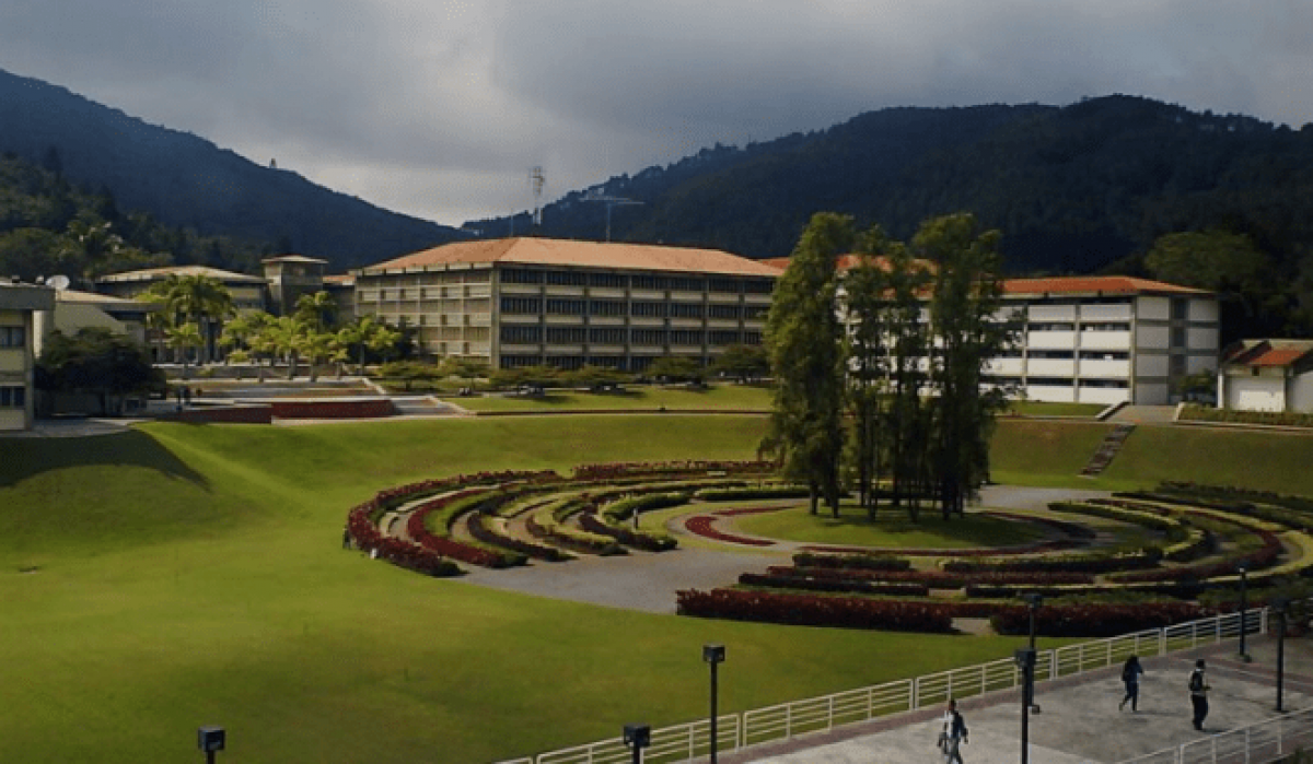 Salir a la realidad: un legado quijotesco