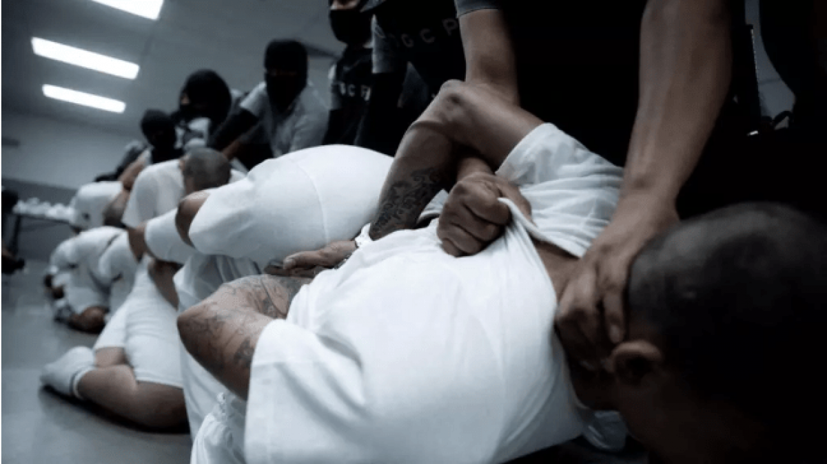 El Tren de Aragua y el Tren de Trump