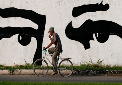 Trucos de la magia negra: Irina Troconis y el Estado nigromántico