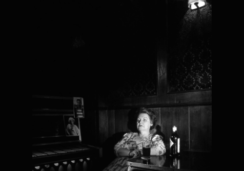 «La historia más que un bello bosque es un bosque sangrante». Una conversación con Elisa Lerner