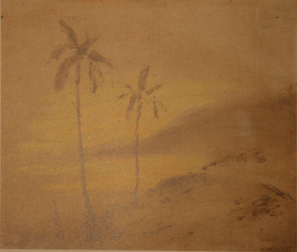 TRÓPICO ABSOLUTO: Un árbol en el desierto