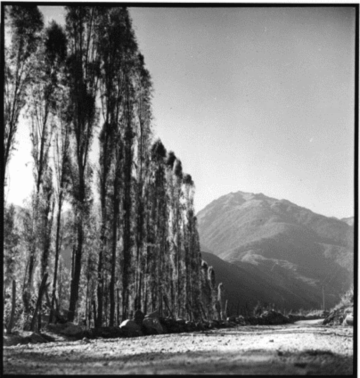 Algunas ideas sobre la crítica. A propósito de John Berger y su Another Way of Telling