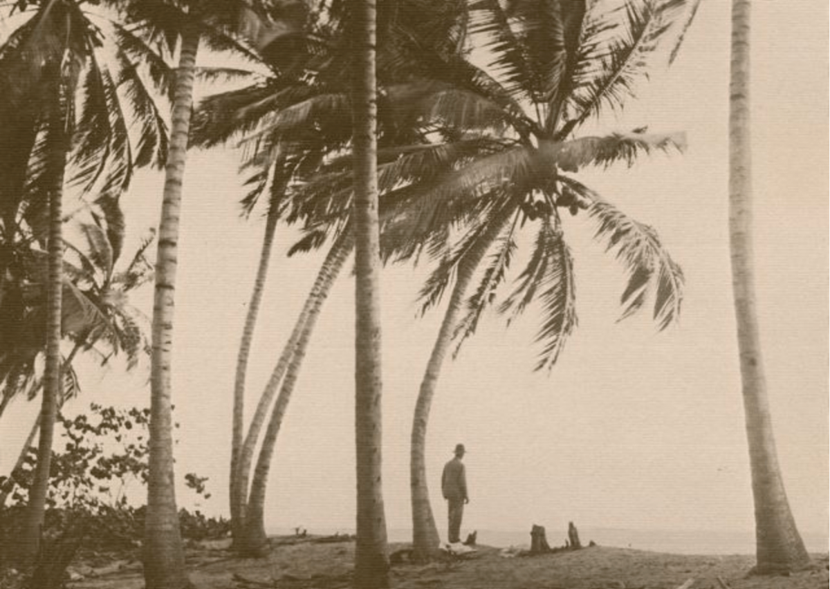 Visión de Venezuela desde las islas. A propósito de ‘Caribeños’ (2002) de Edgardo Rodríguez Juliá