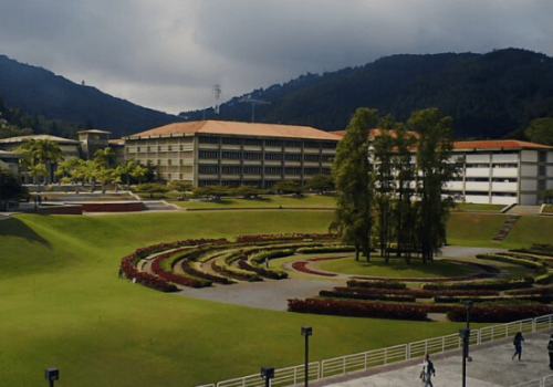 Salir a la realidad: un legado quijotesco