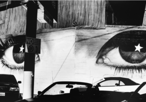 Paolo Gasparini. Campo de imágenes en Sala MAPFRE, Madrid