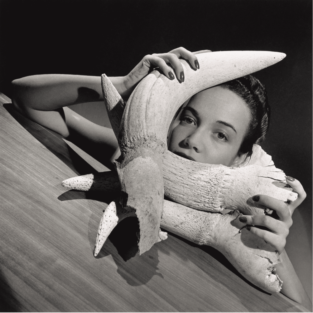 Alfredo Boulton: Looking at Venezuela (1928–1978) inaugura en el Getty Center de Los Angeles