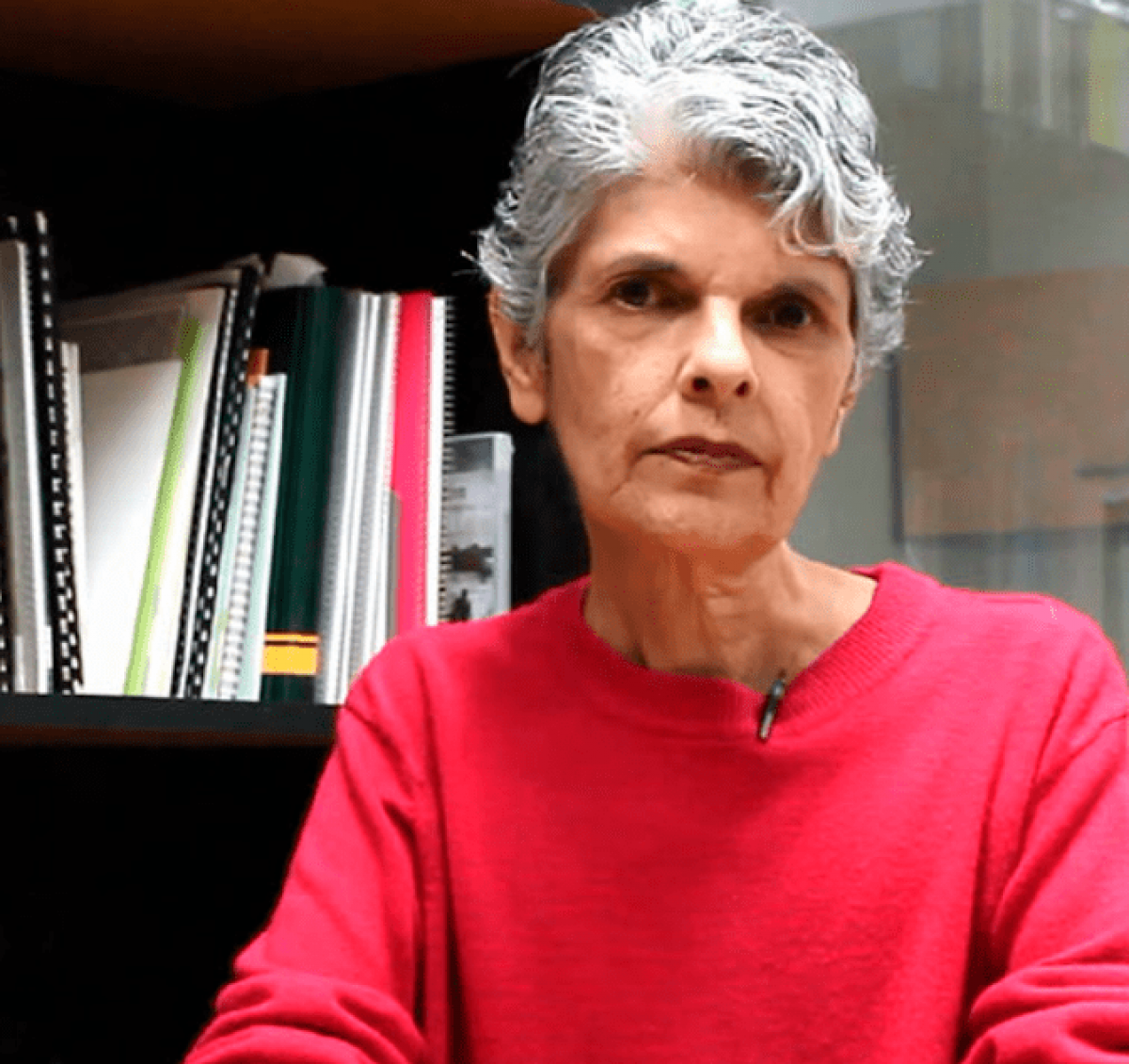 Ligia Bolívar distinguida con el Premio de Derechos Humanos Rudolf Benario 2026