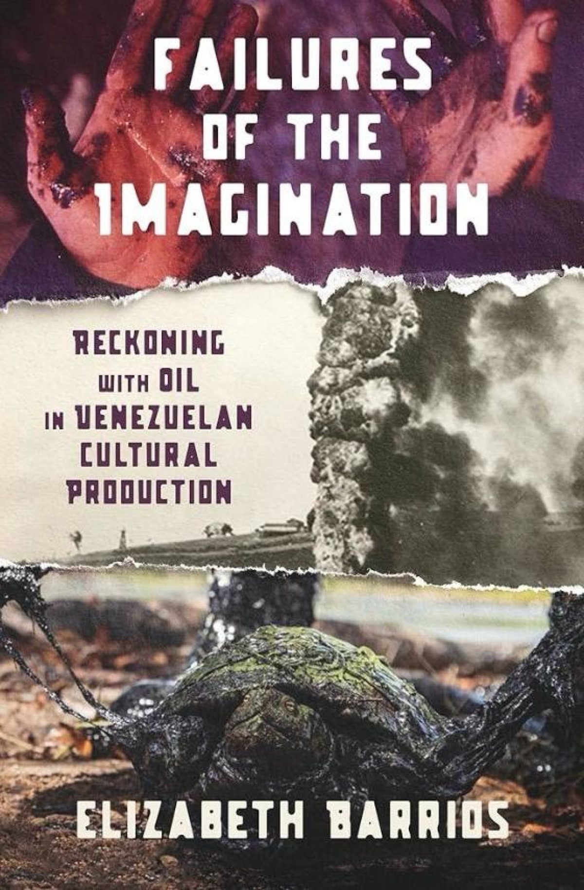 Elizabeth Barrios / Failures of the Imagination