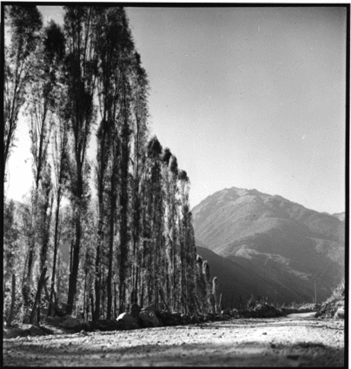 Algunas ideas sobre la crítica. A propósito de John Berger y su Another Way of Telling