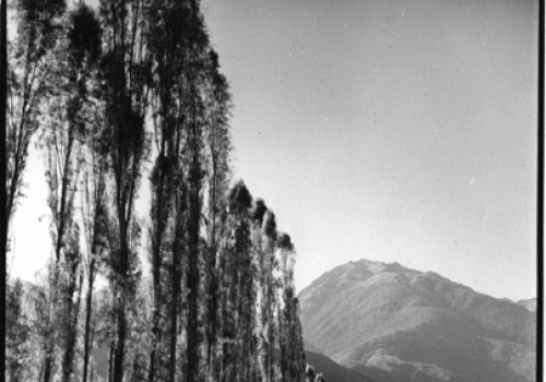 Algunas ideas sobre la crítica. A propósito de John Berger y su Another Way of Telling